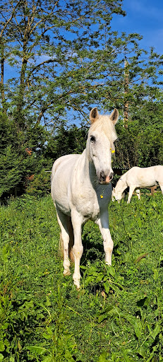 Area Equestrian Du Nivernais