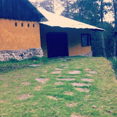 real-estate-agency