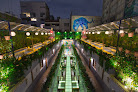 Hotel Pet Friendly Hotel Parque México Boutique en Cuauhtémoc