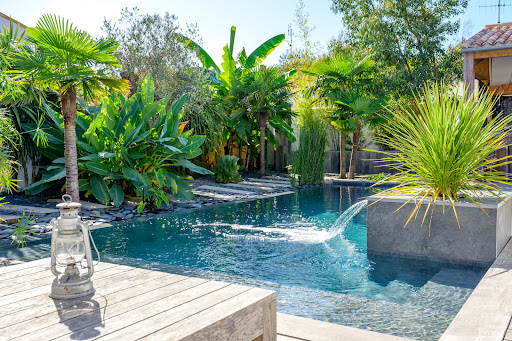 Photo de Linckia à Tesson (17460)