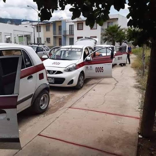 Taxis Jardines del Grijalva