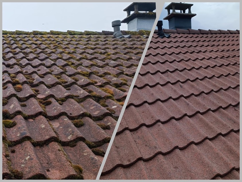 Prosteam Services : nettoyage démoussage et peinture extérieur : toiture, façade, bardage, terrasse.