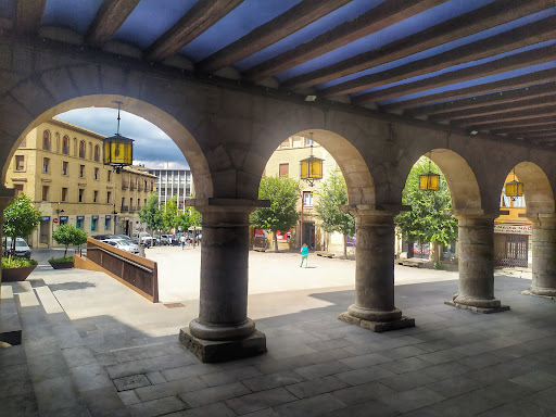 SAC - Visual