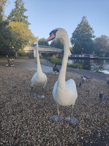 Newbury Wharf Car Park