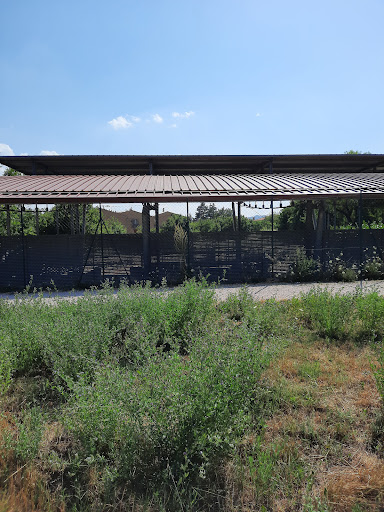 Area archeologica della Guastuglia - Thumbnail