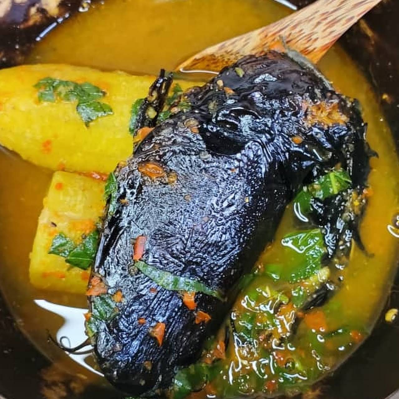 Plenum Foods Nigeria ( Smoked Catfish) Food Processing Company in Lagos