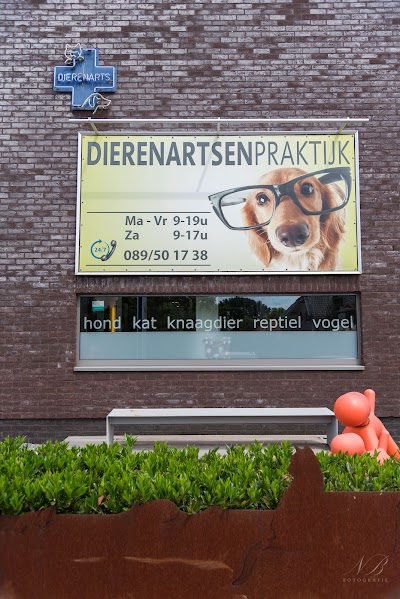 Photos of D.A.P. De Mol - Dr. Boere Inge