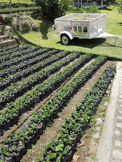 Photos of Vivero Los Arcos