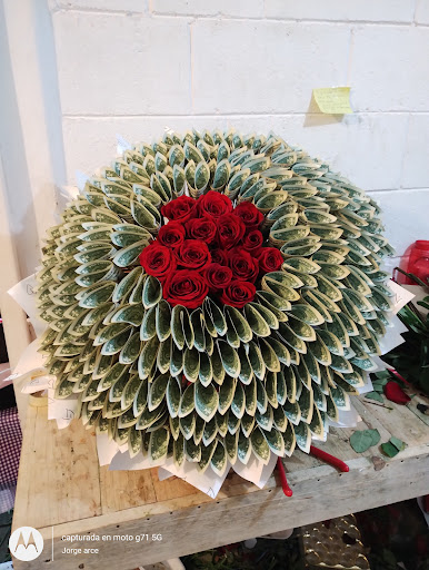 Florería Ebenezer - Visual