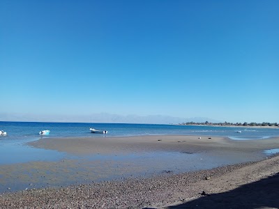 Photos of Hala Camp