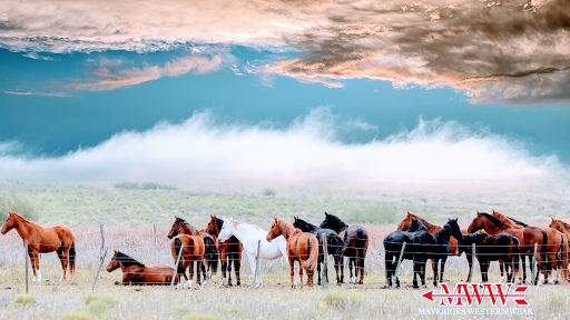 Mavericks Western Wear - Thumbnail