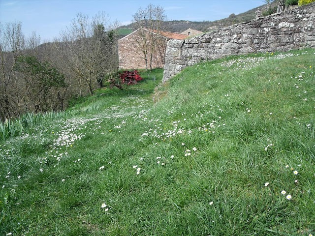 Chateau de Montaigut