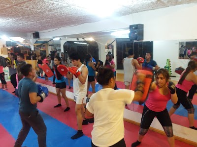 Photos of C.A.I GYM