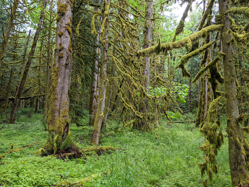 Tiger Mountain Trailhead - Thumbnail