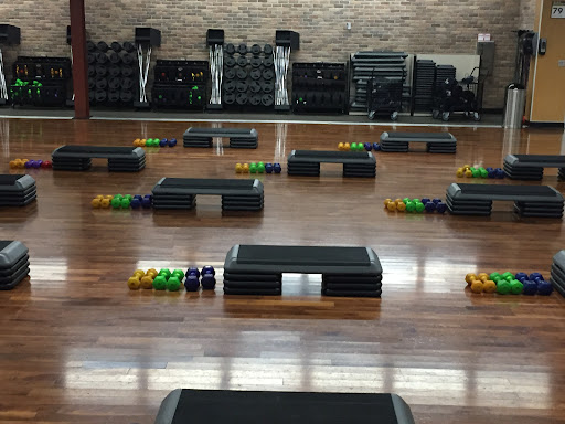 ELEMENTS OF FITNESS - Thumbnail