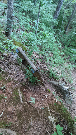 Pinhoti Trail Hawkins Hollow Co Rd 8 - Thumbnail