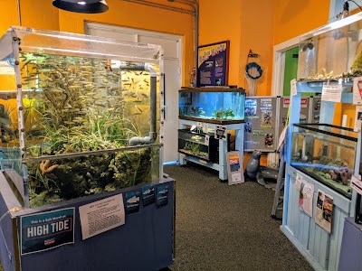 Save The Bay Exploration Center & Aquarium