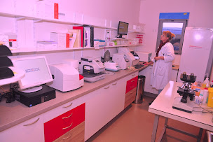 Photo n°2 de Clinique Vétérinaire Mazarin à Chilly-Mazarin (Vétérinaire)