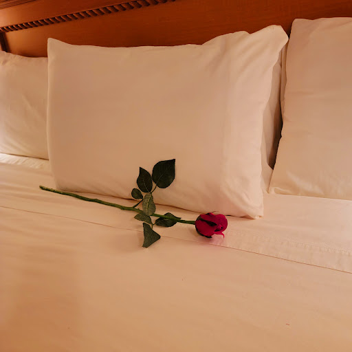 WRIGHT HOTEL - Visual