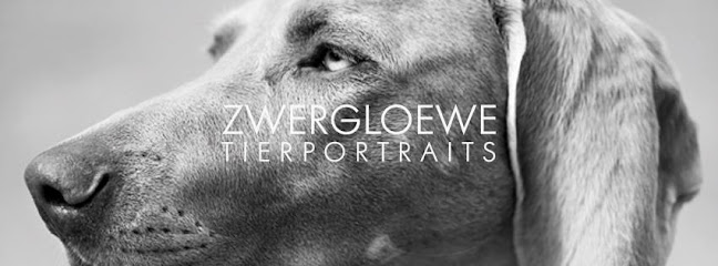 Zwergloewe Tierportraits - das Studio für moderne Tierfotografie in Berlin