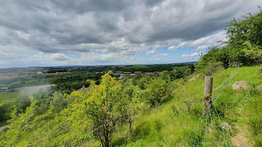 Trans Pennine Trail Conisbrough