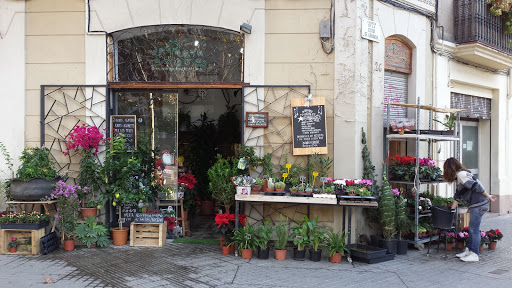 Florist La Plata