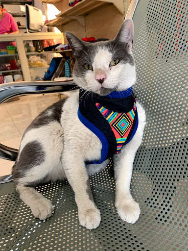 Quality Vet