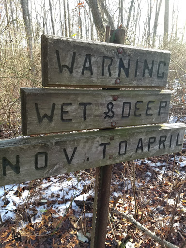 Evert Trail Preserve - Thumbnail