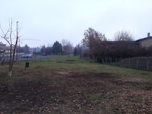 Parco per cani - Visual