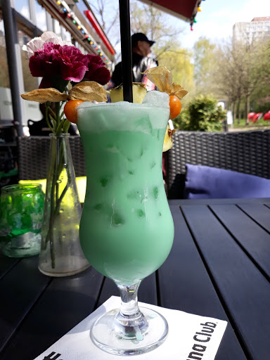 Rodi LOUNGE - Visual