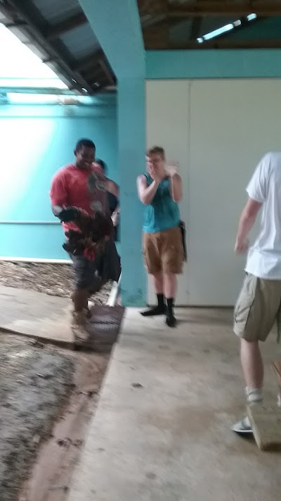 Photos of Baptist Training Center