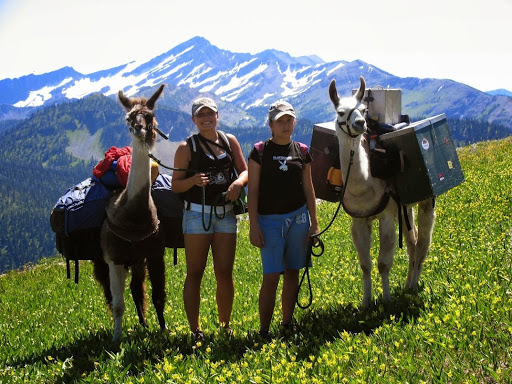 Swan Mountain Llama Trekking - Thumbnail