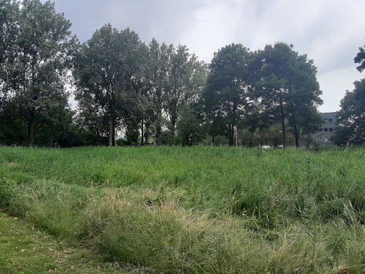 Severijnpark - Thumbnail