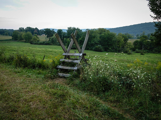 Appalachian Trail at Hammersley Ridge - Thumbnail