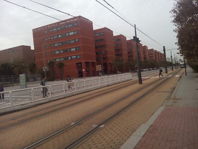 Universitat de València: Campus dels Tarongers