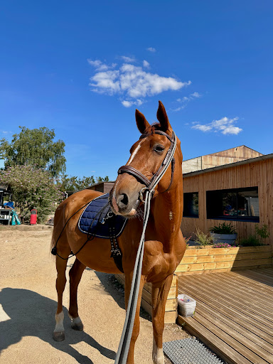 Espace Equestre de Mazerolles