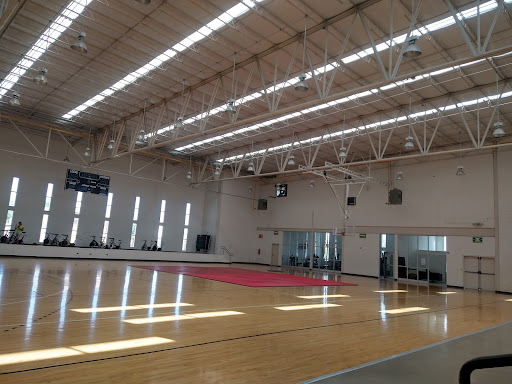 Gimnasio De Deporte Adaptado "Lic. Benito Juarez Garcia"