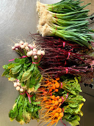 Photo n°44 de L'Orangeraie Saumur le Bistrot du château à Saumur (Bistro)