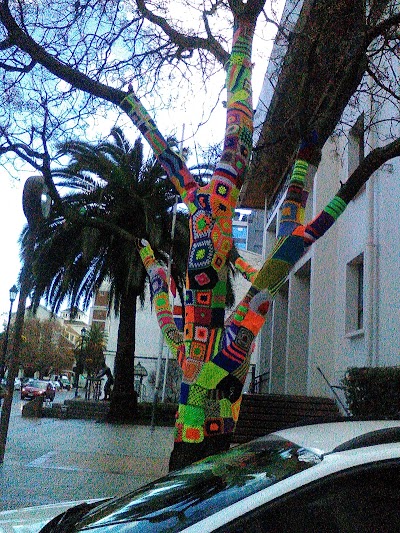 Photos of Municipality of Talca