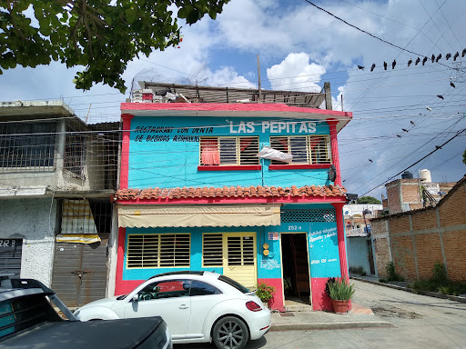 Las pepitas - Visual