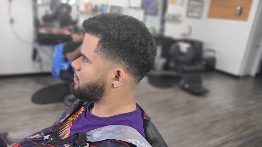 Organik Cuts Gallery - United States
