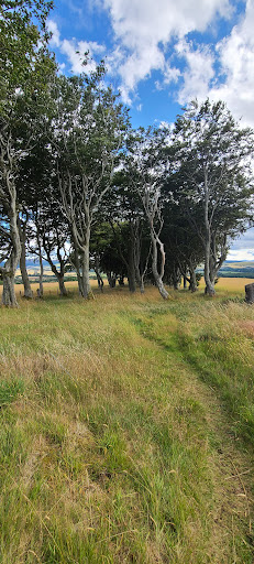 Old Keig Stone Circle - Thumbnail