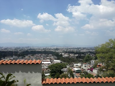 Photos of Los Pinos Garden