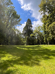 Photo n°20 de Tilia élagage à Les Essarts-le-Roi (Service d'élagage)