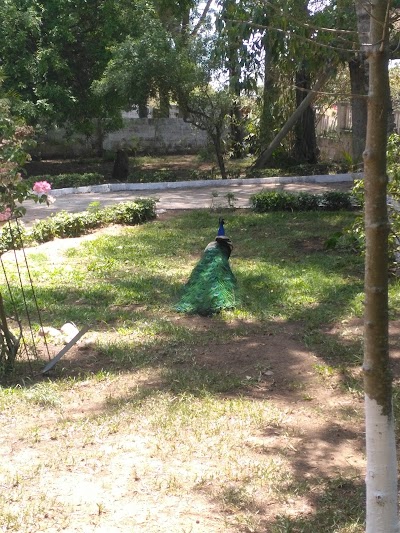 Photos of Lodge canto dos pavoes