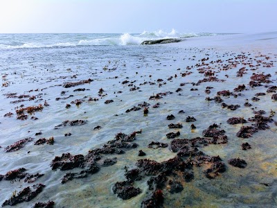 Photos of Chilaw Beach Park