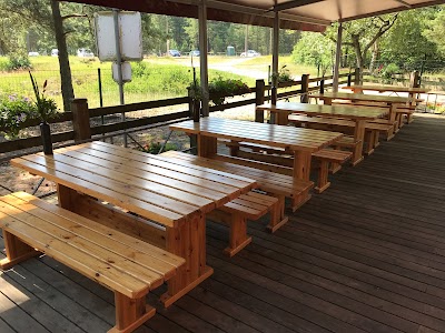 Photos of Grill Station