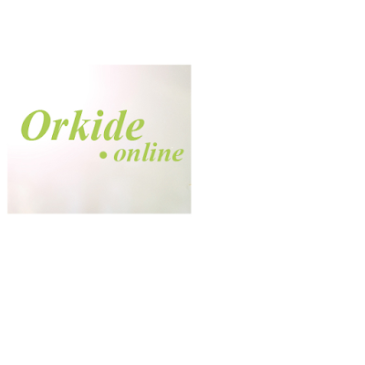 orkide.online - adana çiçek siparişi