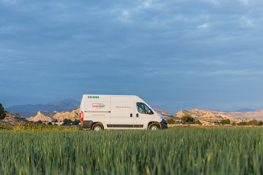 Vinalopó Rent a Car, S.L