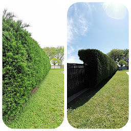 Photo n°2 de V.A.E multiservice, entretien jardin à Trizay (Jardinier)